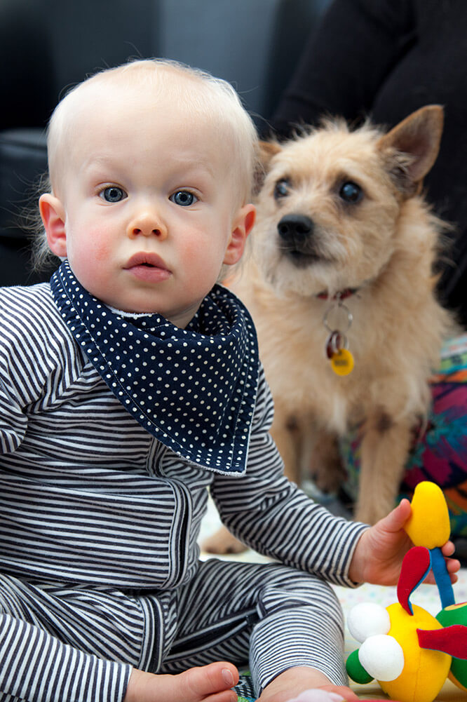 A baby sitting on a play mat holding a colourful toy, with a small dog sitting beside them.
